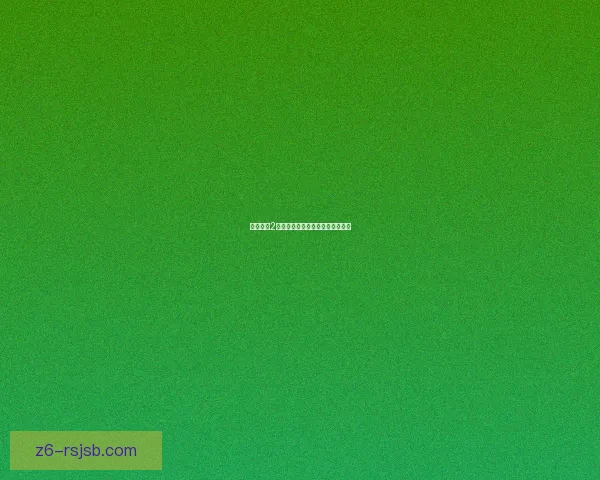 火炬之光2双枪职业解析与最佳装备搭配指南